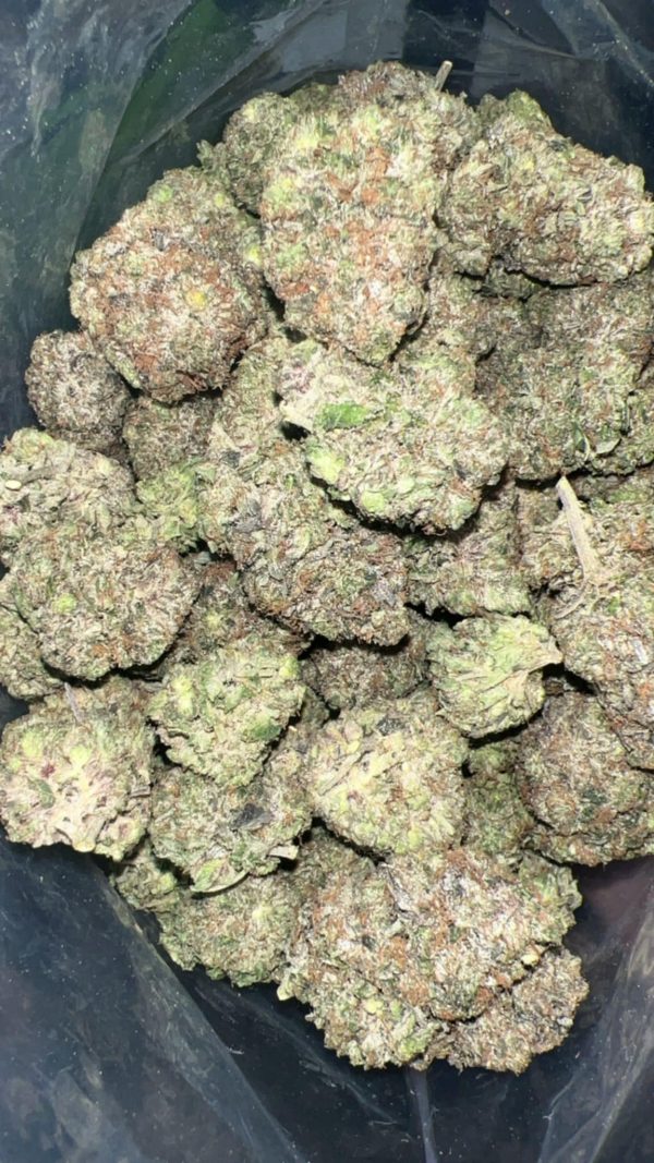 Platinum Rockstar