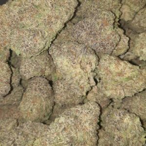 Tropical Haze