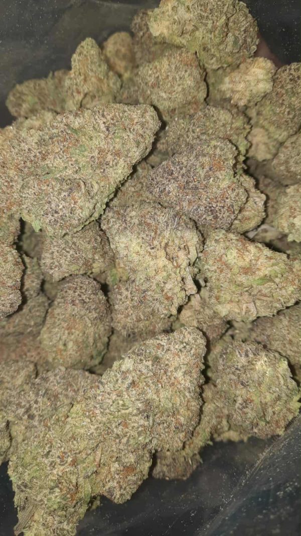 Tropical Haze