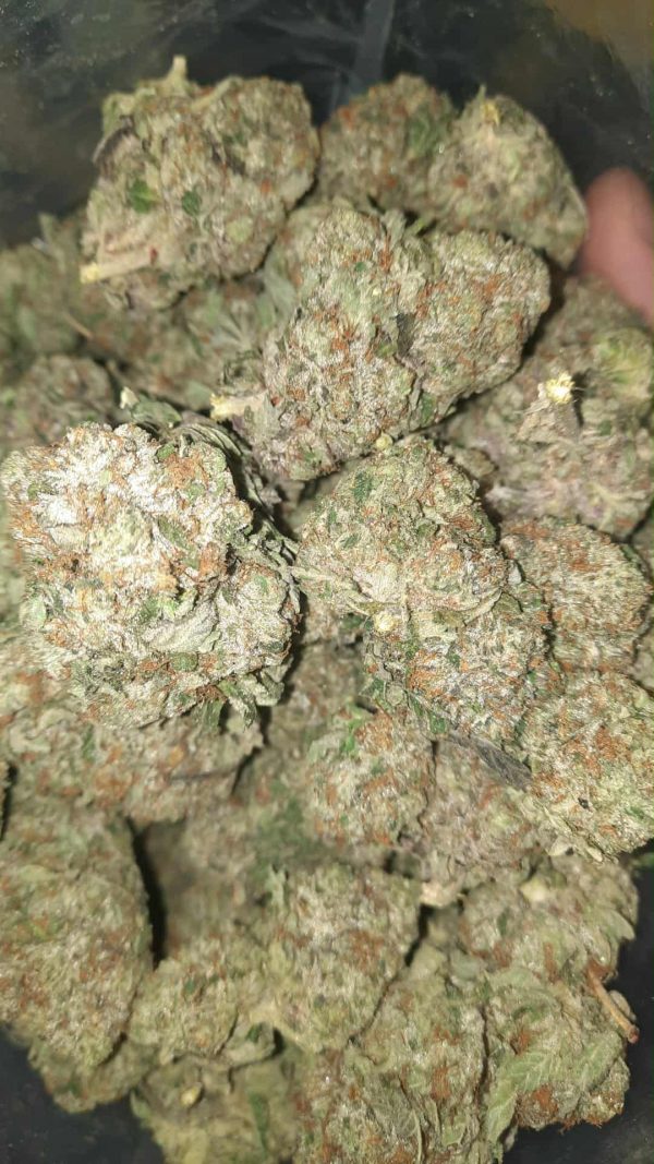 XXX Bubba