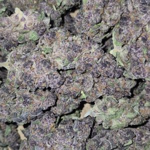 Tropicana Cookies Purple