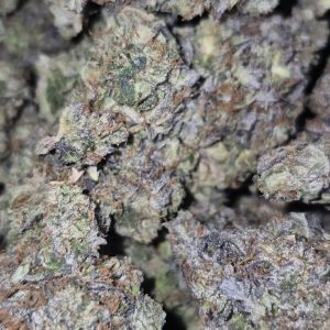Greasy Pink Kush