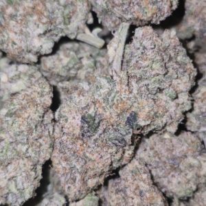 Blueberry Creamsicle