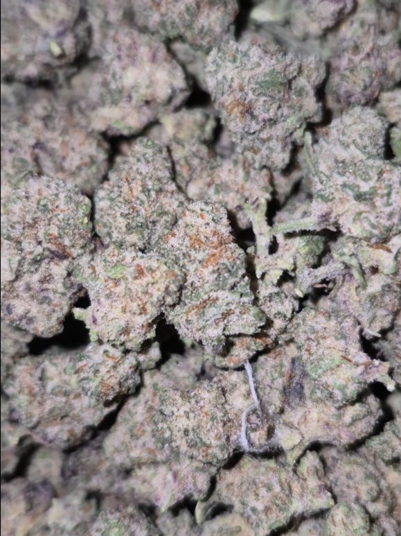 Alien Candy – Primo