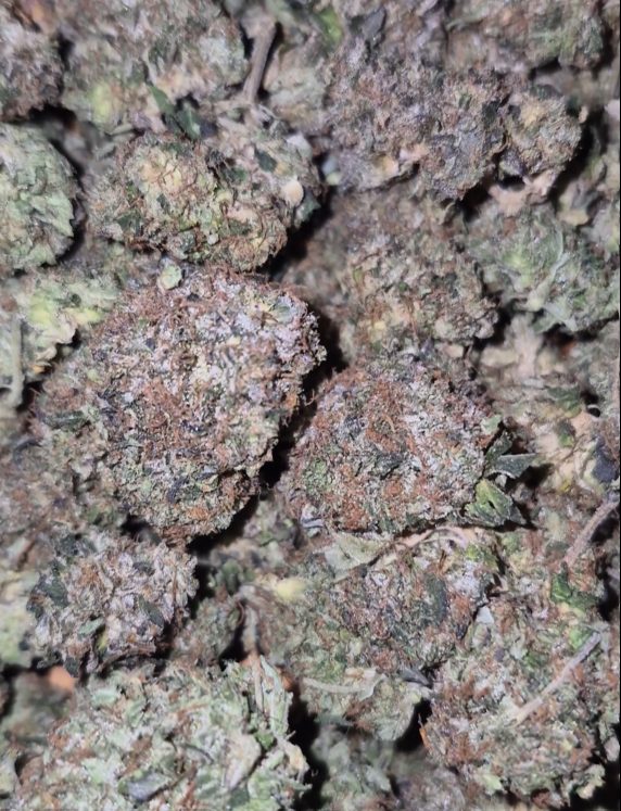 Bubba Kush