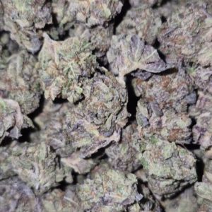 Pink Tuna