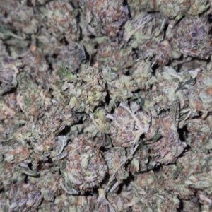 Sweet Pink