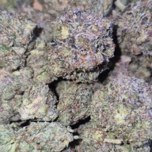 Grape XO