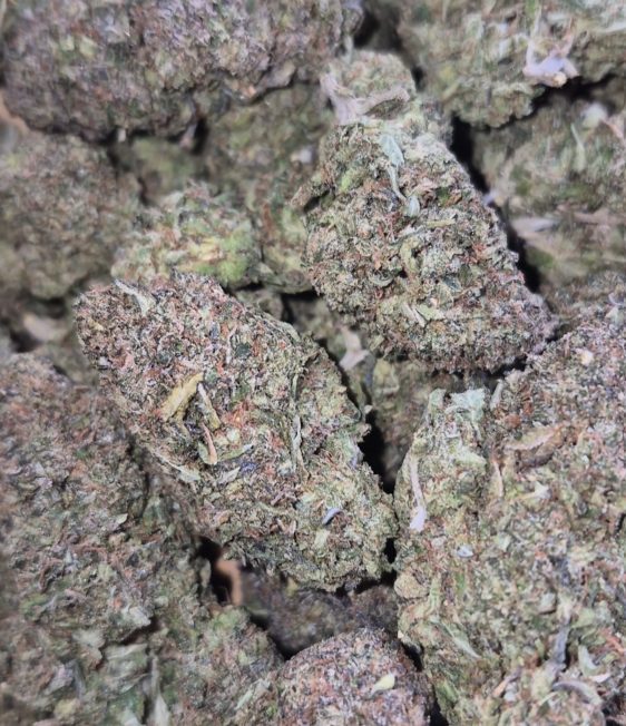 Pink Tuna
