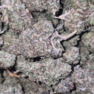 Platinum Pink