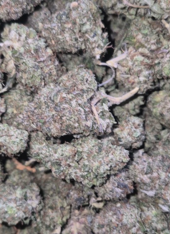 Platinum Pink