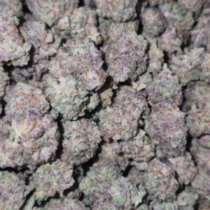 Purple Cookie Monster